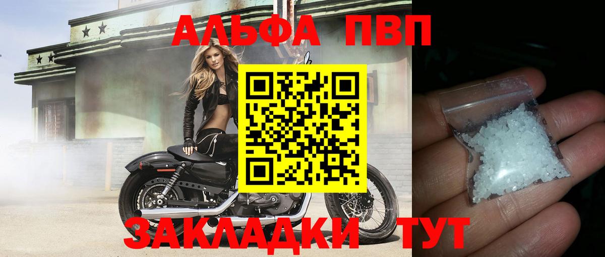 А ПВП СК Новошахтинск