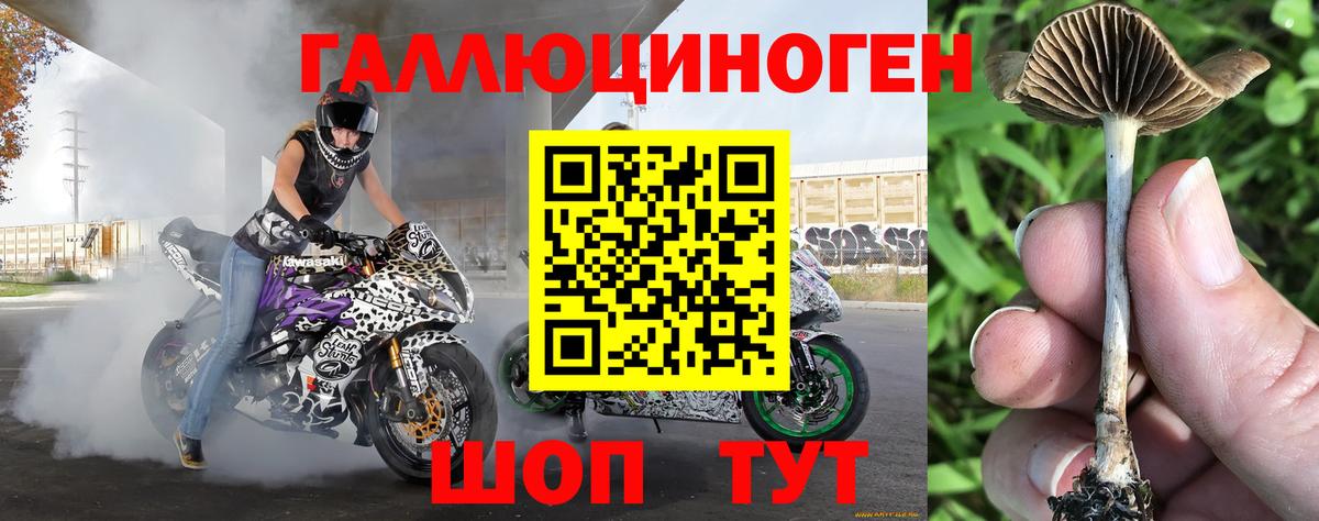 Галлюциногенные грибы ЛСД  Вход с VPN  Новошахтинск 